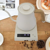 Электрический чайник из нержавеющей стали в японском стиле с носиком 700 мл, чайник с горячей водой, чайник для наливания чая на гусиной шее, капельный кофе